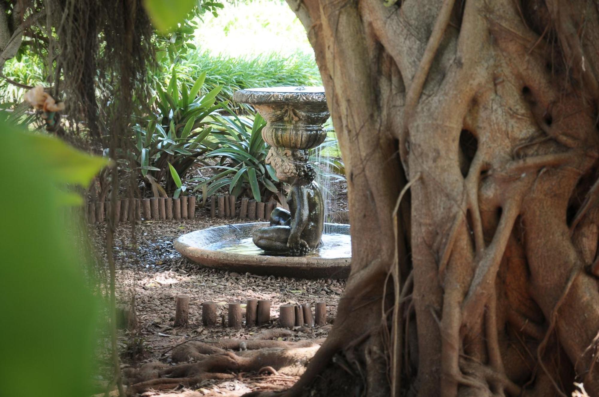 Mount Azimbo Lodge لويس تريشارد المظهر الخارجي الصورة
