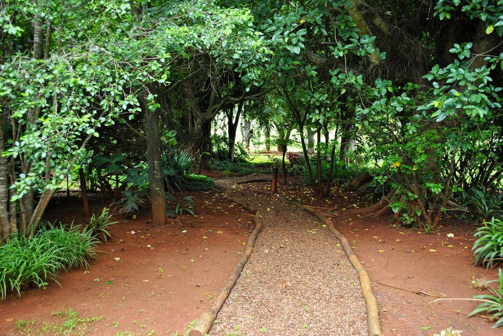 Mount Azimbo Lodge لويس تريشارد المظهر الخارجي الصورة